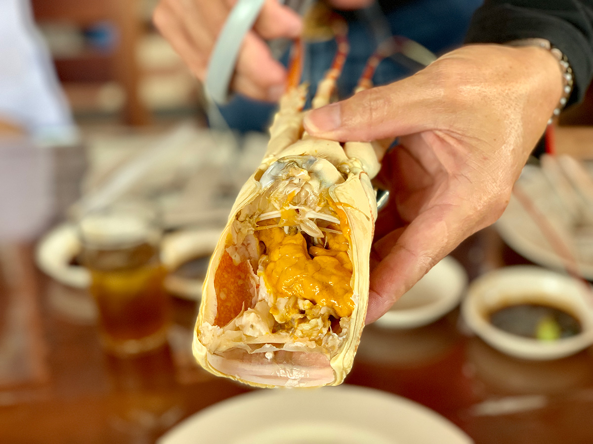 马来西亚新山旅游攻略自由行,马来西亚马六甲旅游景点攻略