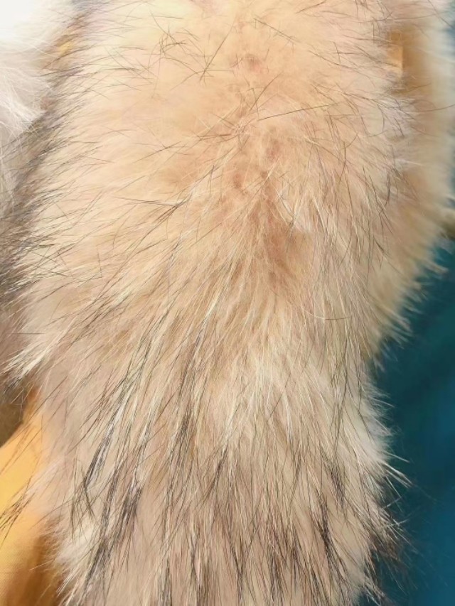 品牌女装尾货批发直播,品牌女装尾货批发300一袋