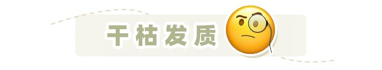 男油头头屑多洗发水推荐,多芬的洗发水哪款适合油头头屑