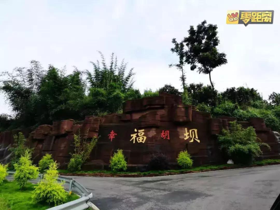 10块钱能吃遍宜宾这个镇？还有这些城头人不晓得的…