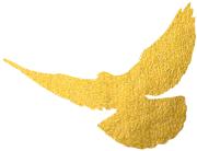 2020年西安好人榜,2020年中国好人榜