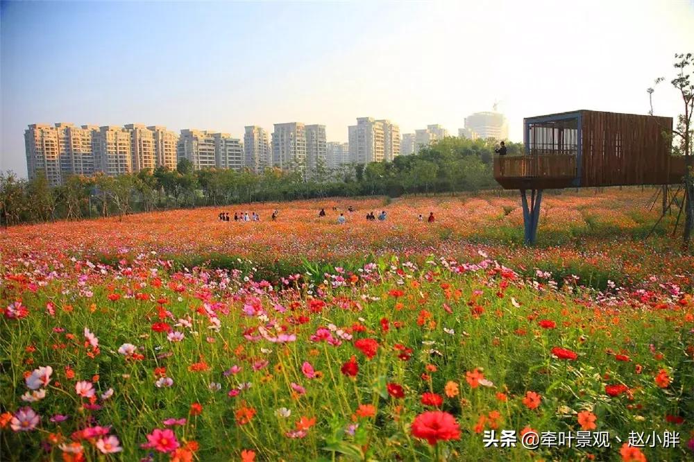 踏春寻美景,踏春赏花梯田漫步