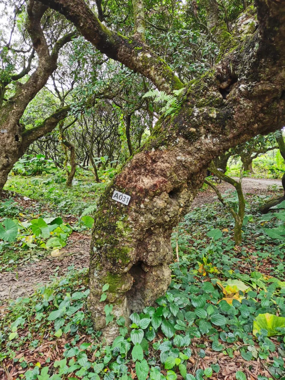 检察蓝用心守护海洋蓝,检察蓝守护最美夕阳红