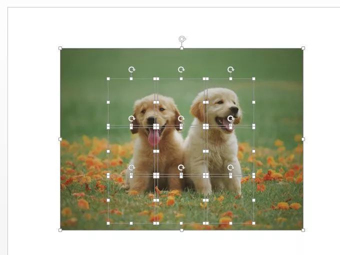 不用ps怎么做图,不用ps如何做修图工作