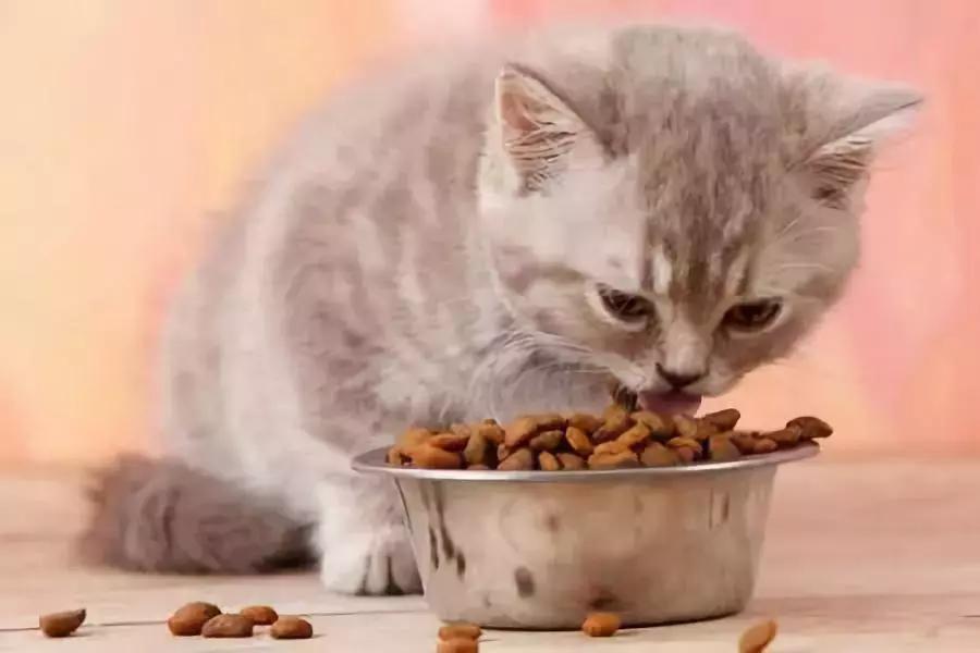 生活小妙招切辣椒辣到手怎么办,切辣椒后辣手怎么缓解