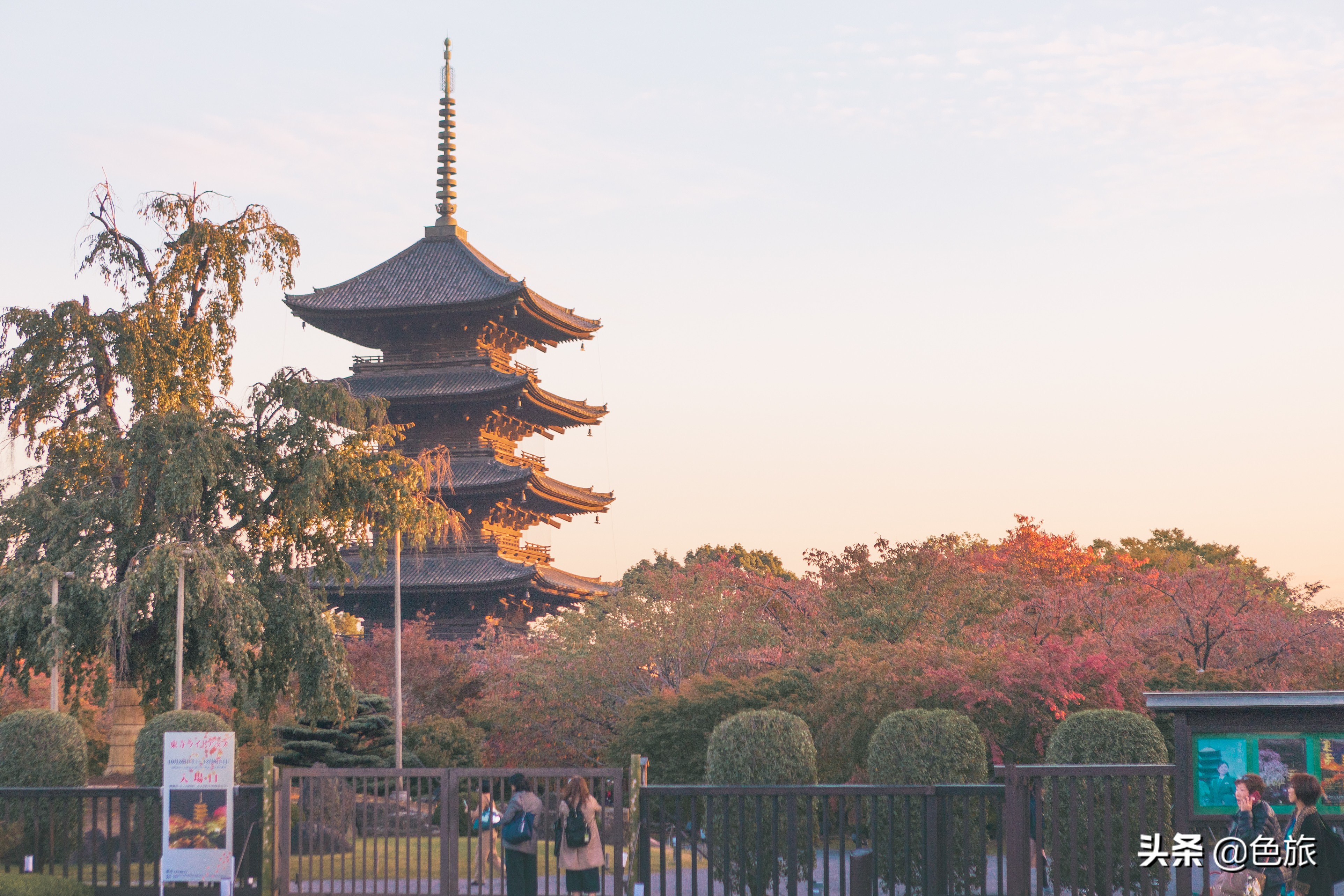妖猫传日本访唐,妖猫传日本大师