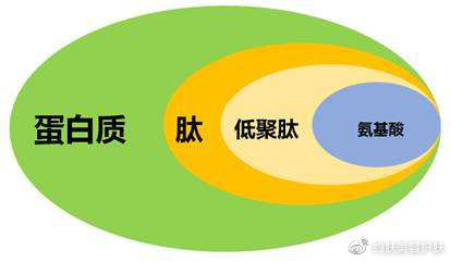 现在市场上最好的胶原蛋白肽,当下火爆食品