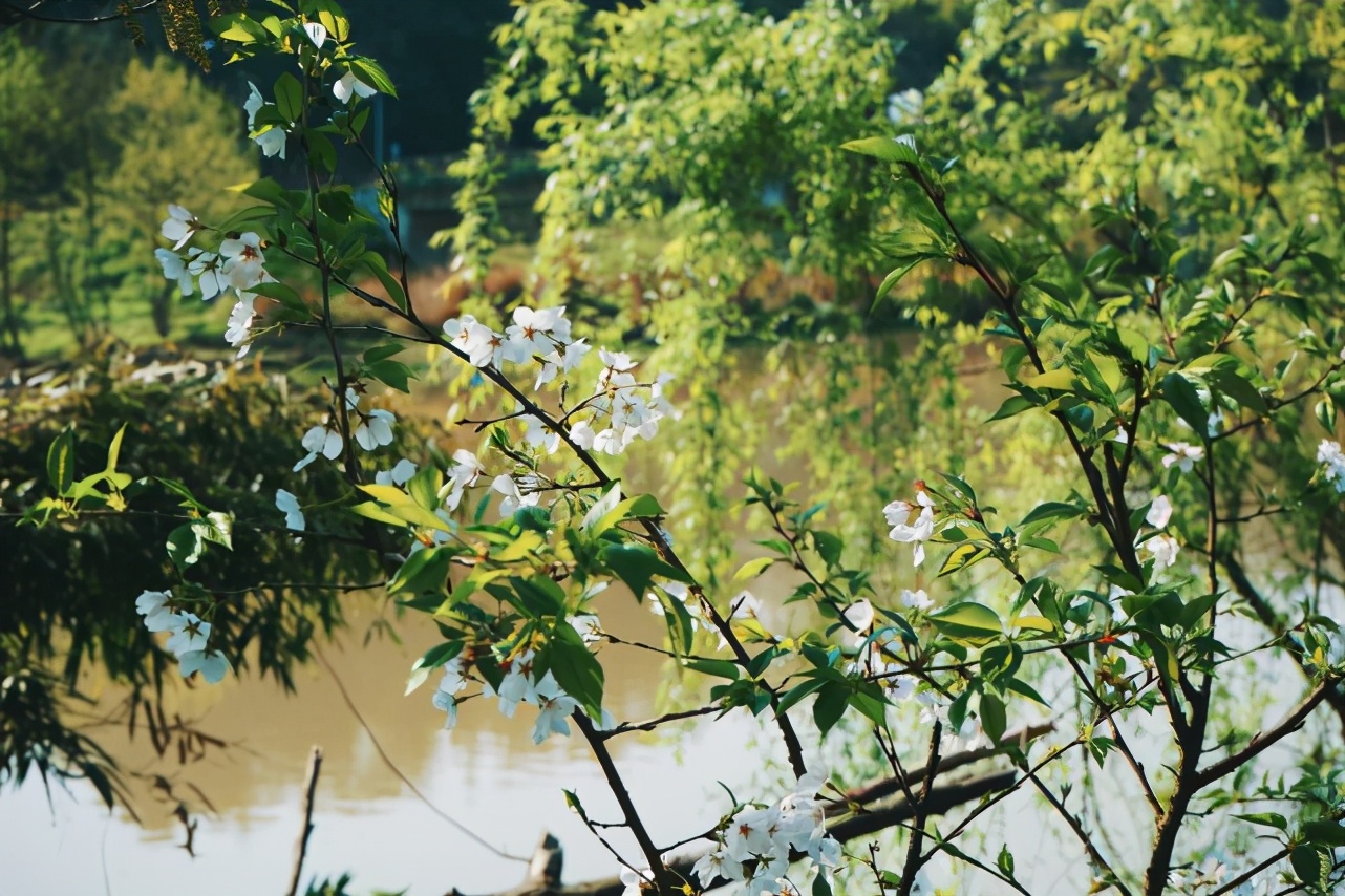 缙云仙都仙气飘飘的旅行胜地,缙云丽水好玩的地方