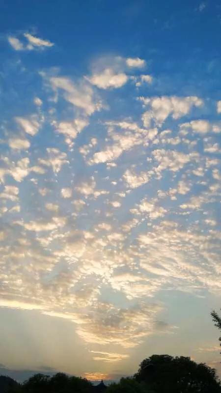 手拍世界,手拍世界作品专集