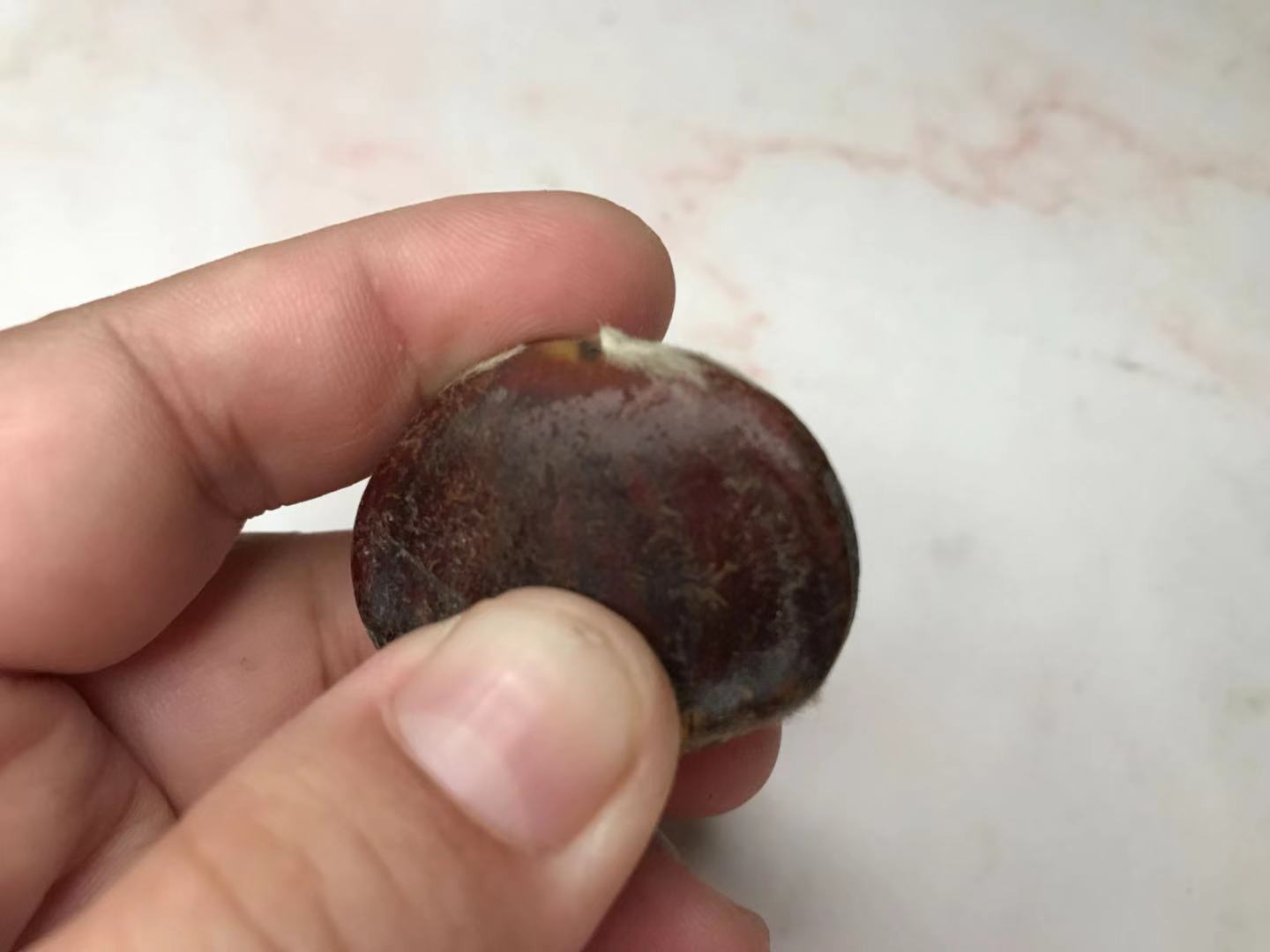 板栗皮太难剥有什么好方法吗,板栗壳怎么快速剥掉