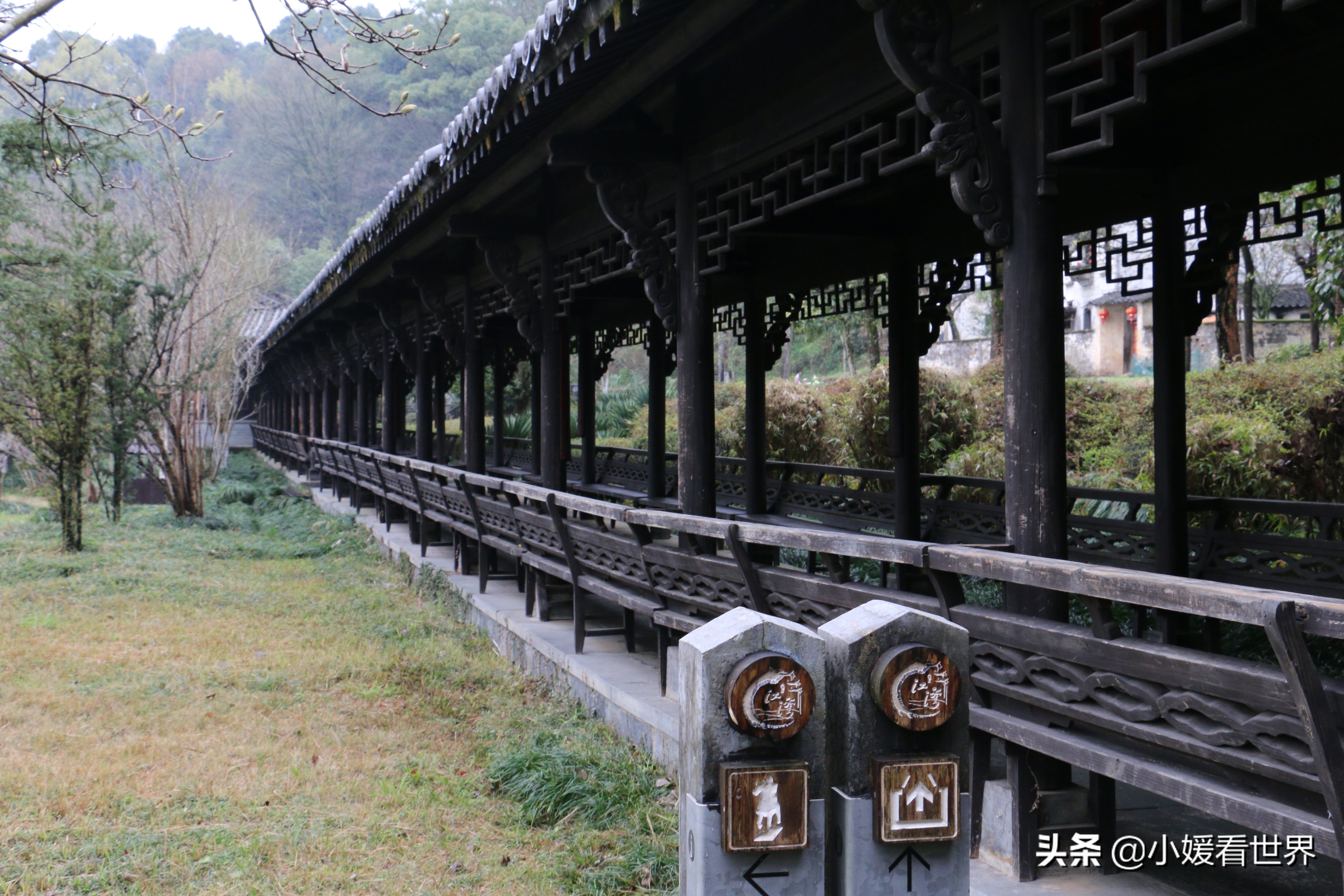 婺源江湾景区游玩攻略,婺源江湾景区观景台