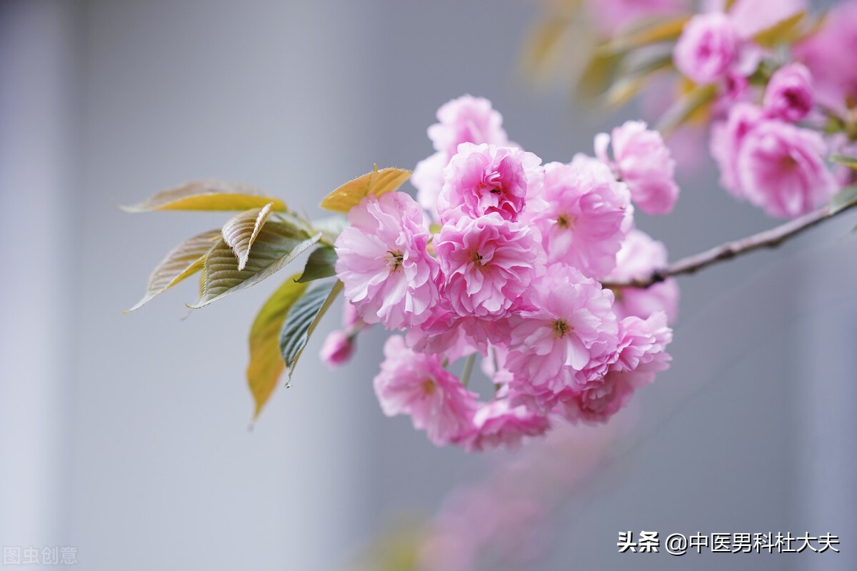 腿酸疼软无力容易疲劳是哪种肾虚,腰膝酸软腿无力是肾虚的表现吗