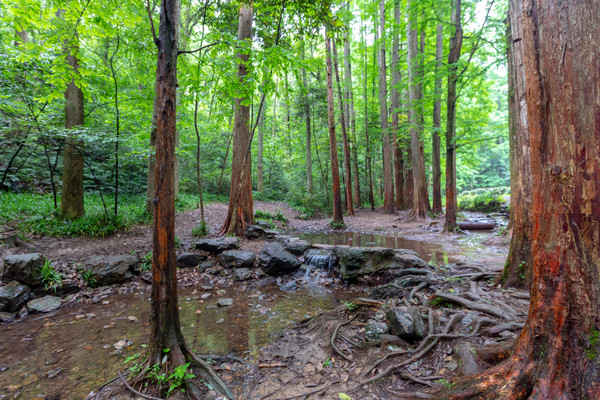 美豪酒店用3年时间,让民国府邸变身野奢酒店,就在西湖内
