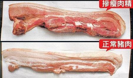 养猪有什么禁忌,养猪必须的药物