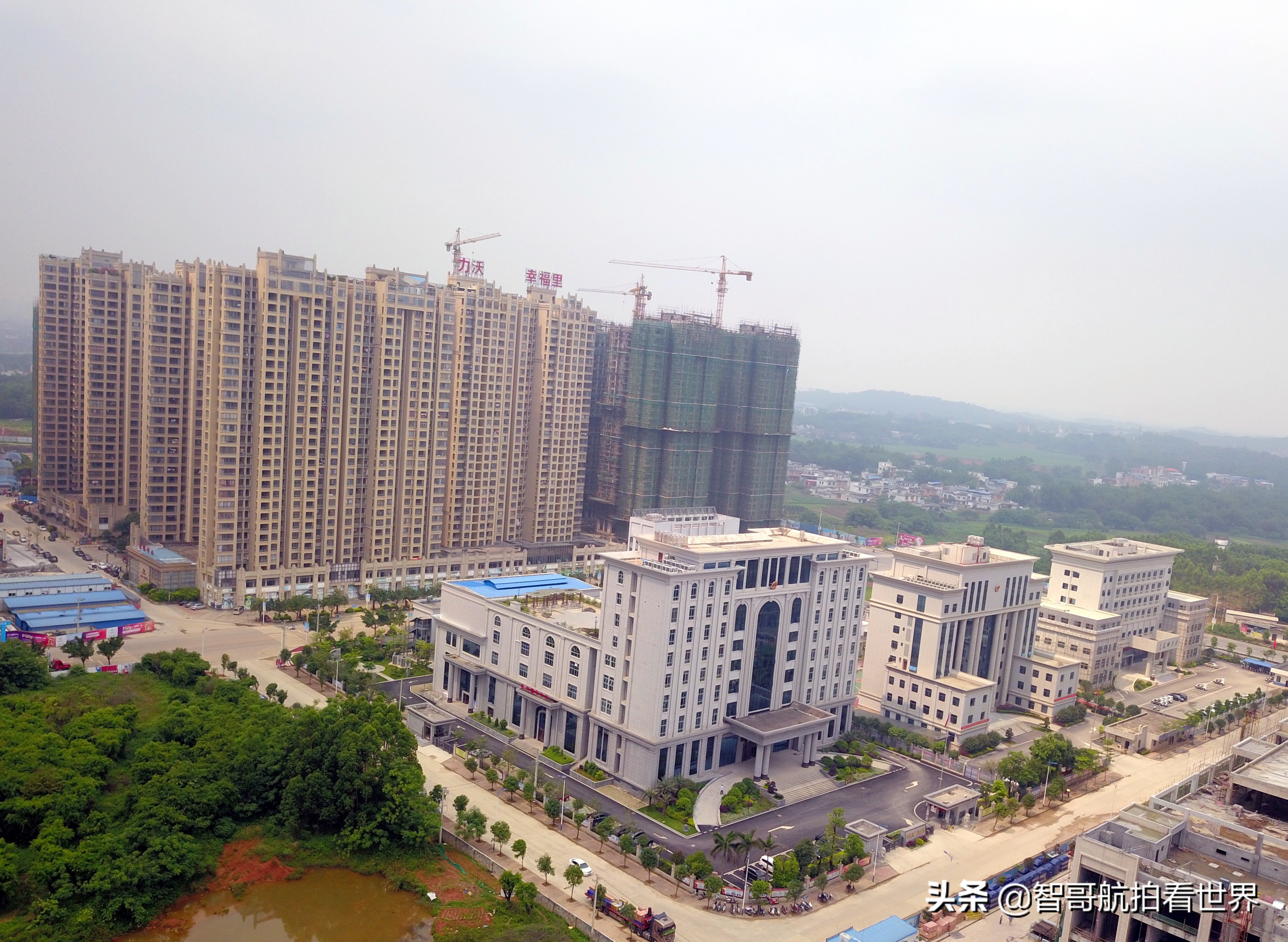 广西宾阳炮龙乡视频,宾阳炮龙之乡新闻