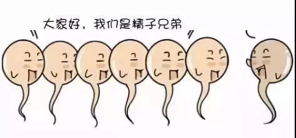 精子颜色辨别精子质量,三十秒教你自查精子质量