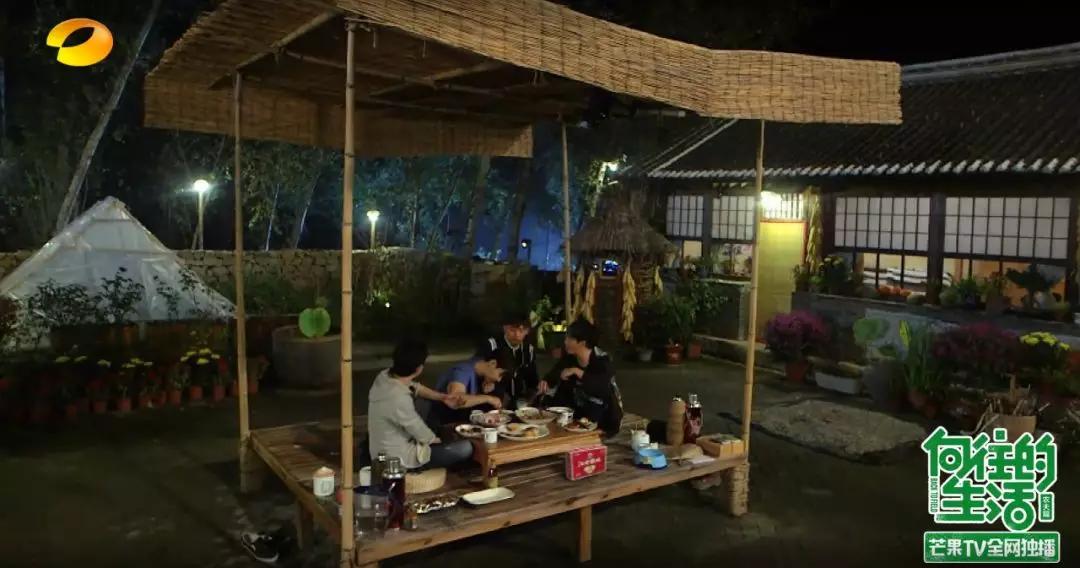 如果我有个院子我要种满花,如果我有个院子你猜我要种什么