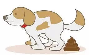 狗狗腹泻怎么喂速诺,狗狗拉肚子怎么哄狗狗喝水