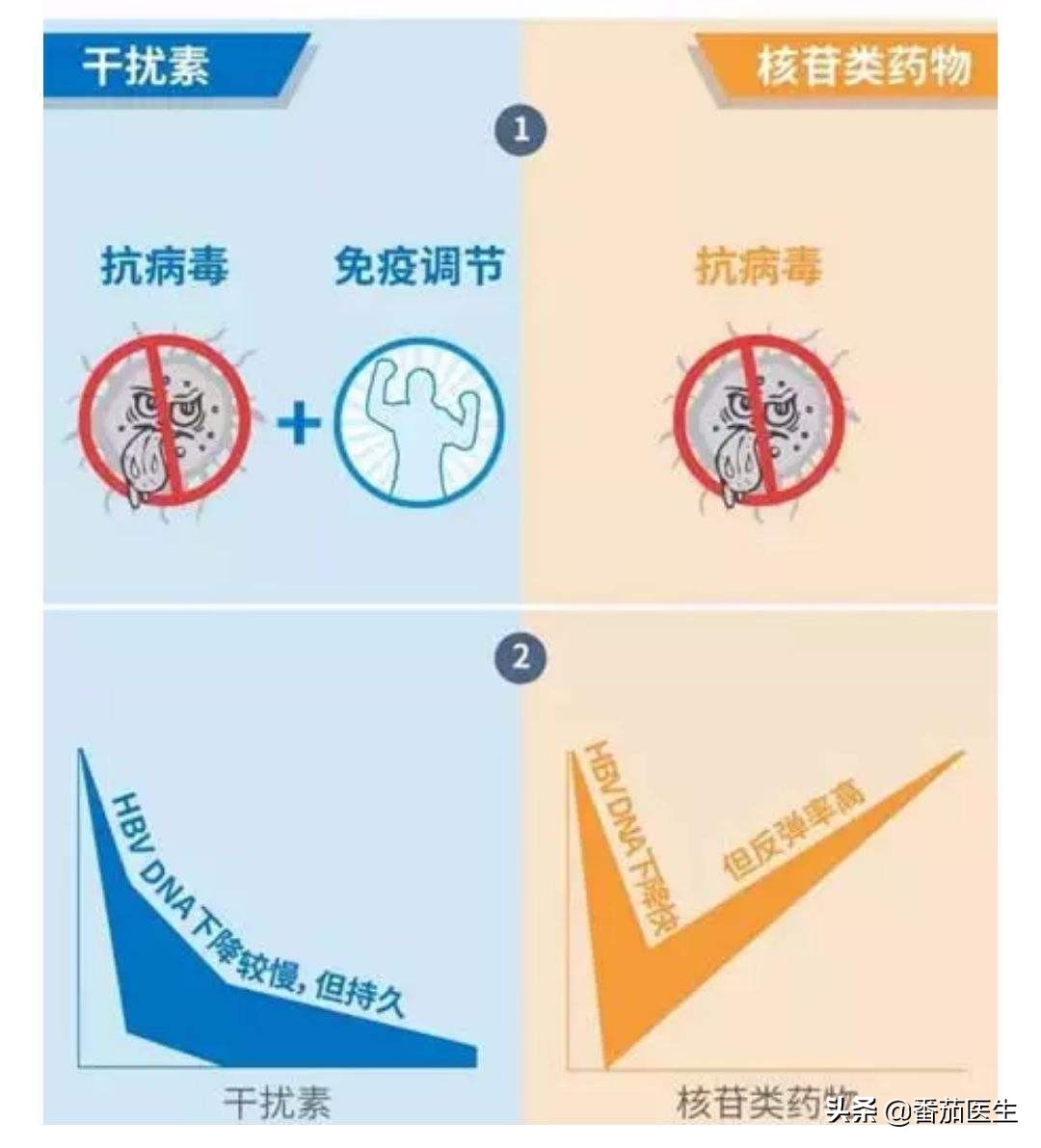 乙肝新药三期临床,进入三期的乙肝新药什么时候上市