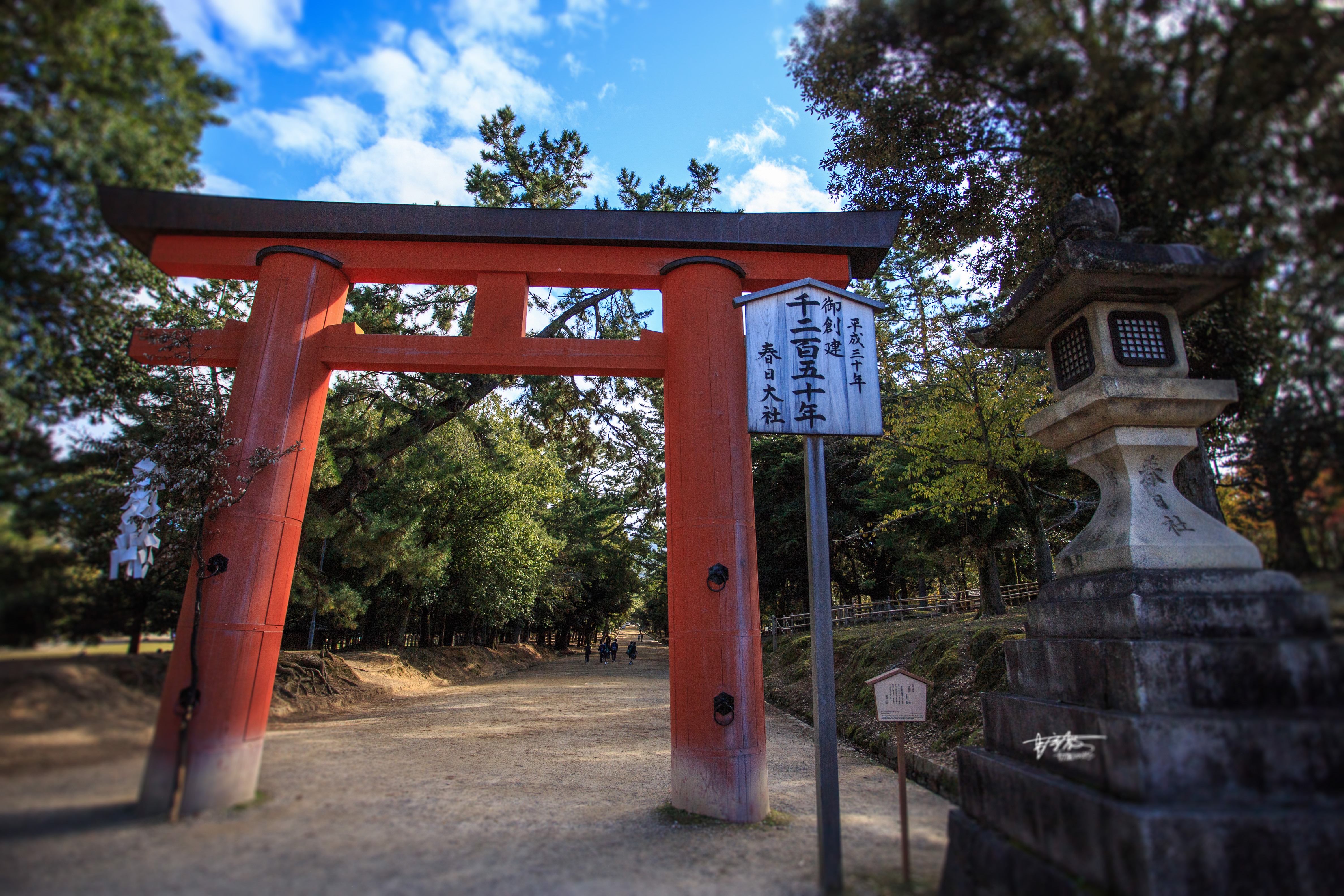 网红打卡景点奈良,日本奈良10大网红打卡景点