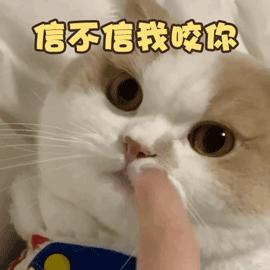 一个人在家里被大狗咬了,宠物猫咬主人一口主人被截肢