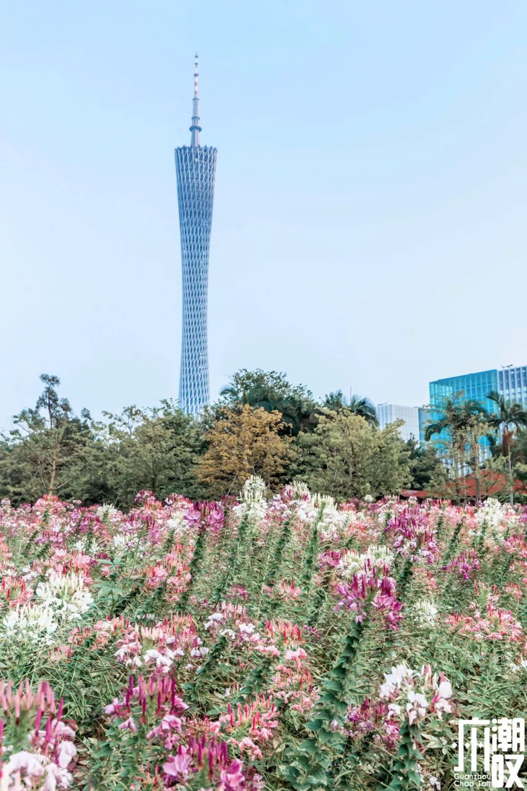 宝藏新公园周末好去处快来打卡,必打卡的宝藏公园