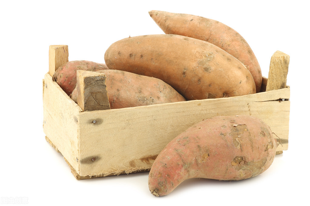 老瓜怎么保存能长久,切开的白瓜怎么保存