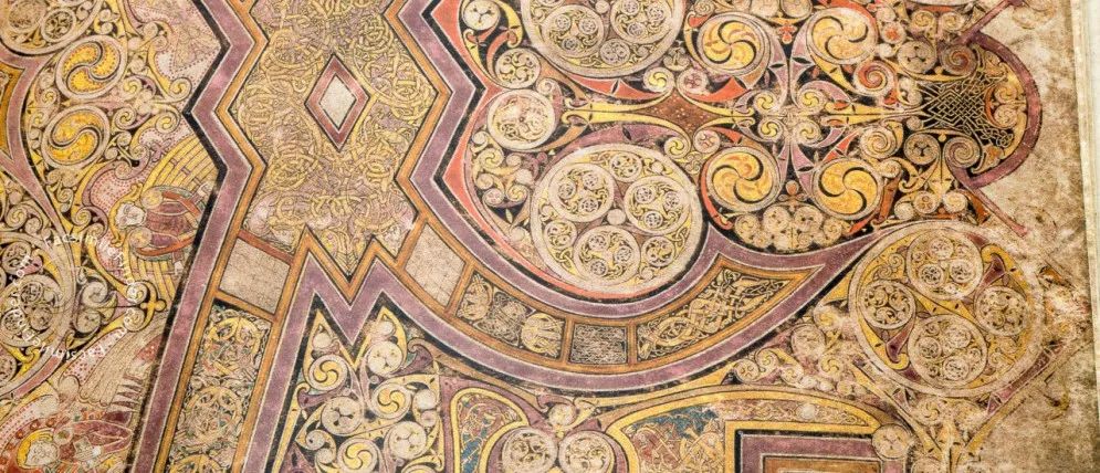 飞鸟越过珊瑚海,飞鸟越过山林