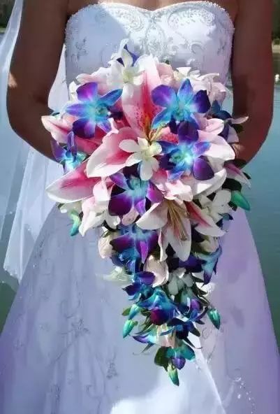 世界十大漂亮名贵花卉,植物研究世界名贵花卉