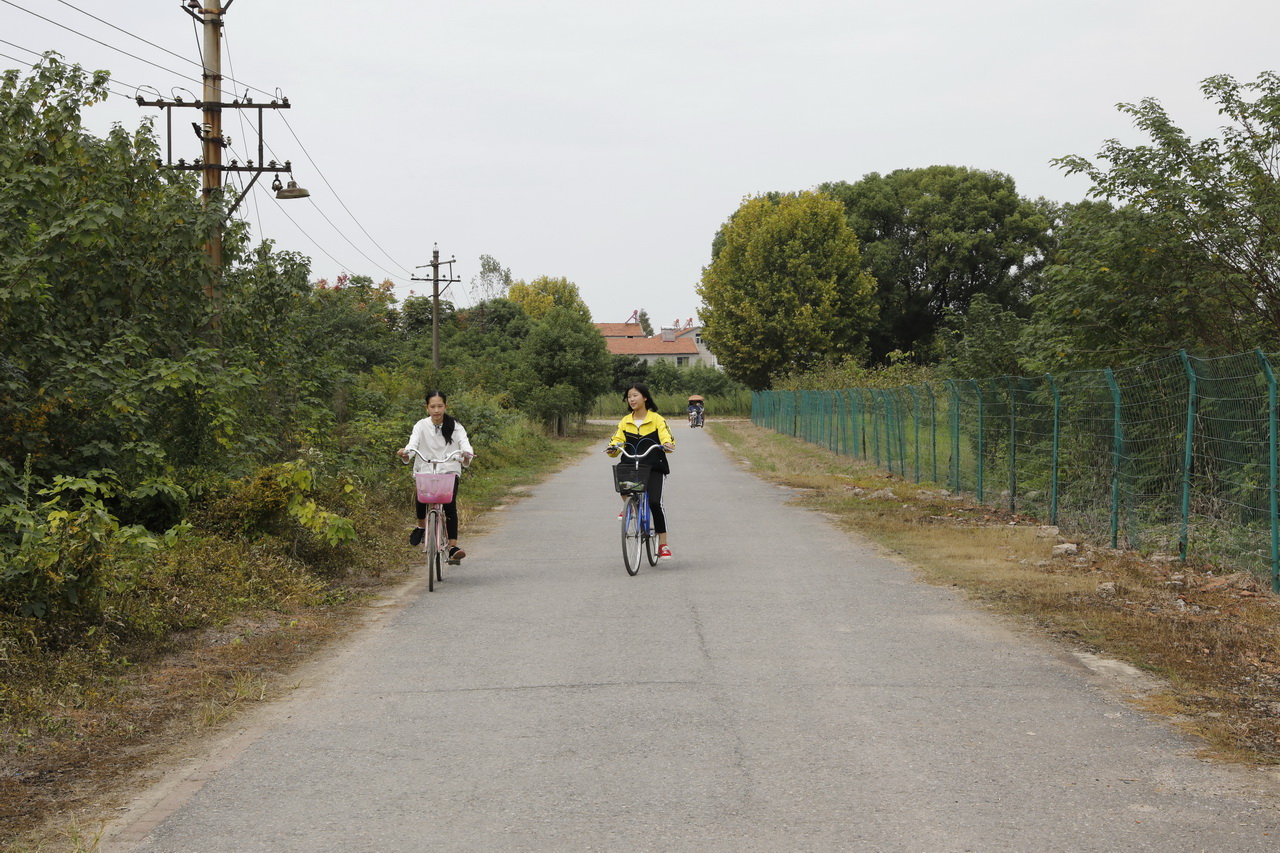 武汉市第七砖瓦厂陈建华,武汉砖瓦厂的发展现状