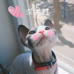 bec中级口试和写作句型,bec商务英语中级需要口试吗