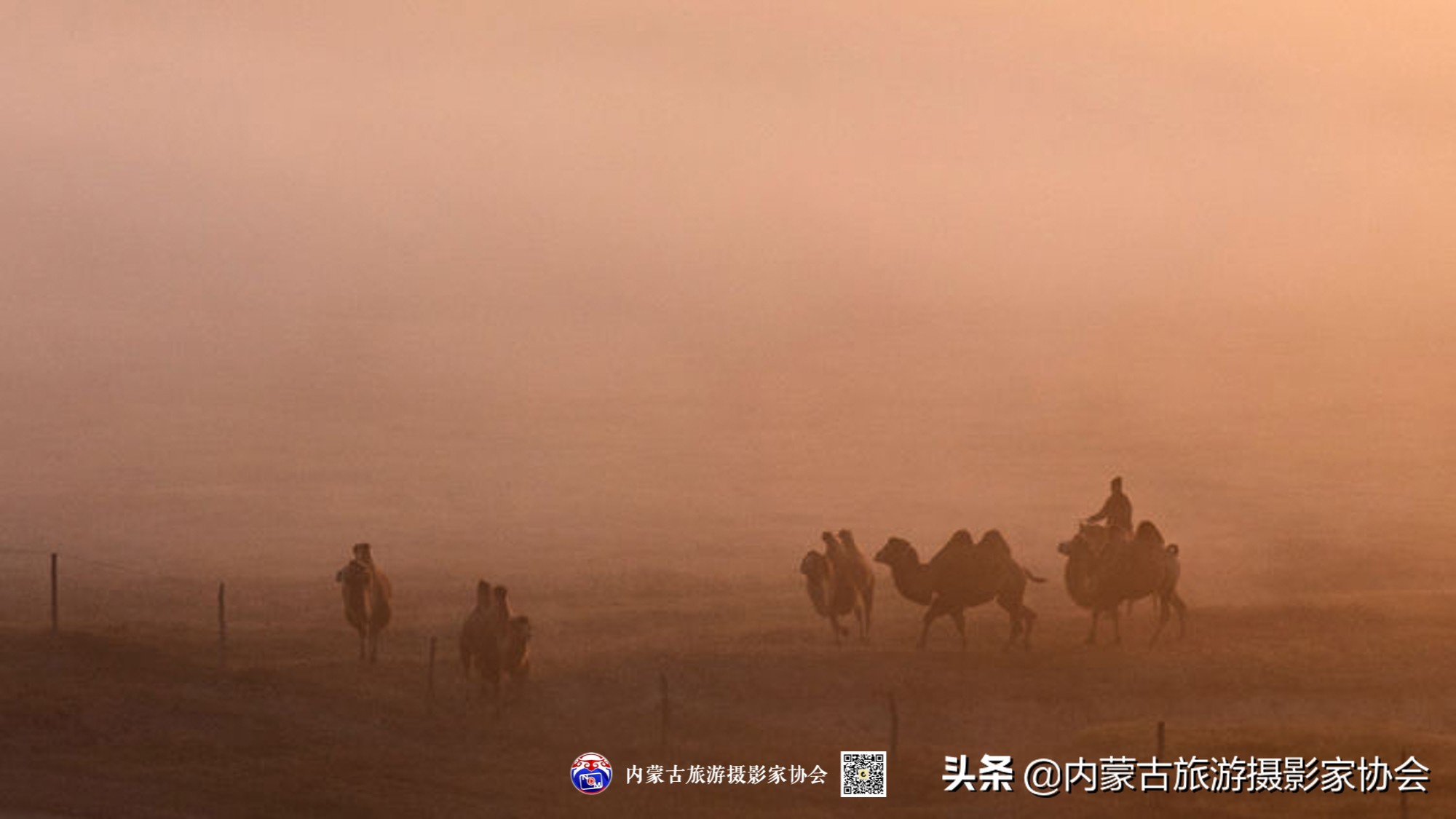 那山那水那滋味,那山那水那份爱