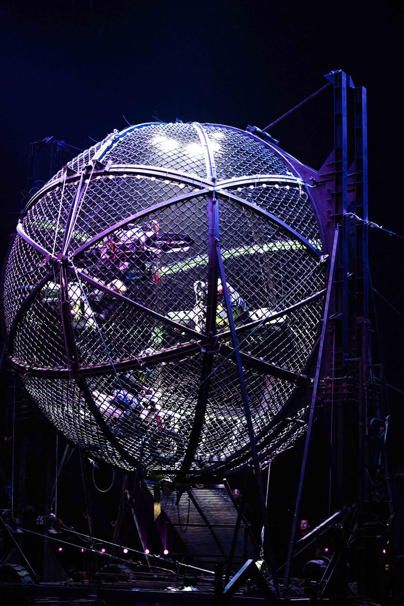 玩转广州长隆野生动物世界之行,广州长隆动物世界游玩攻略图