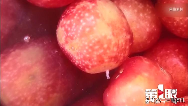 都说樱桃有虫子樱桃到底能不能吃,樱桃泡出来虫子是什么