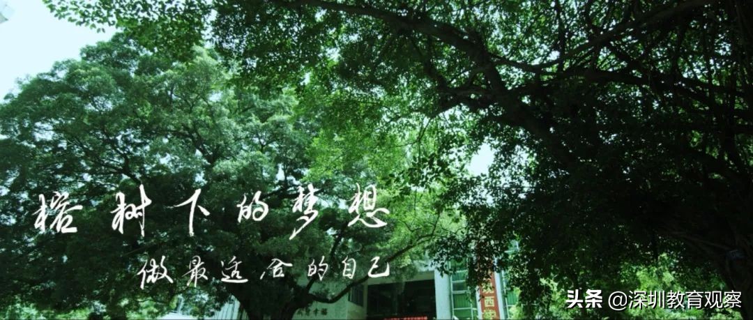 走名校vol.14|西乡中学:50年,我们专注做一件事