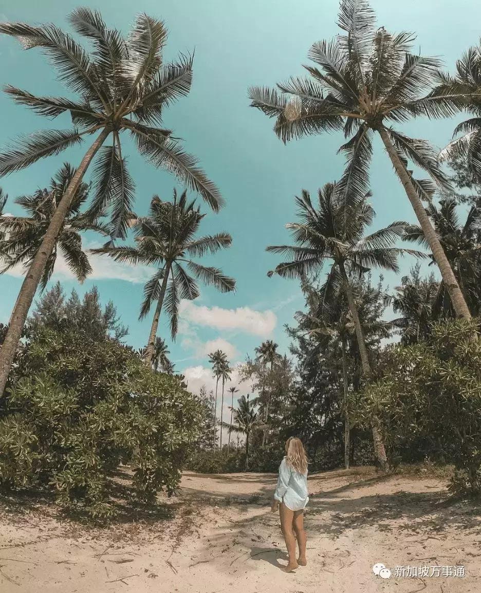 2019年十大最美海岛,2018最值得去的海岛