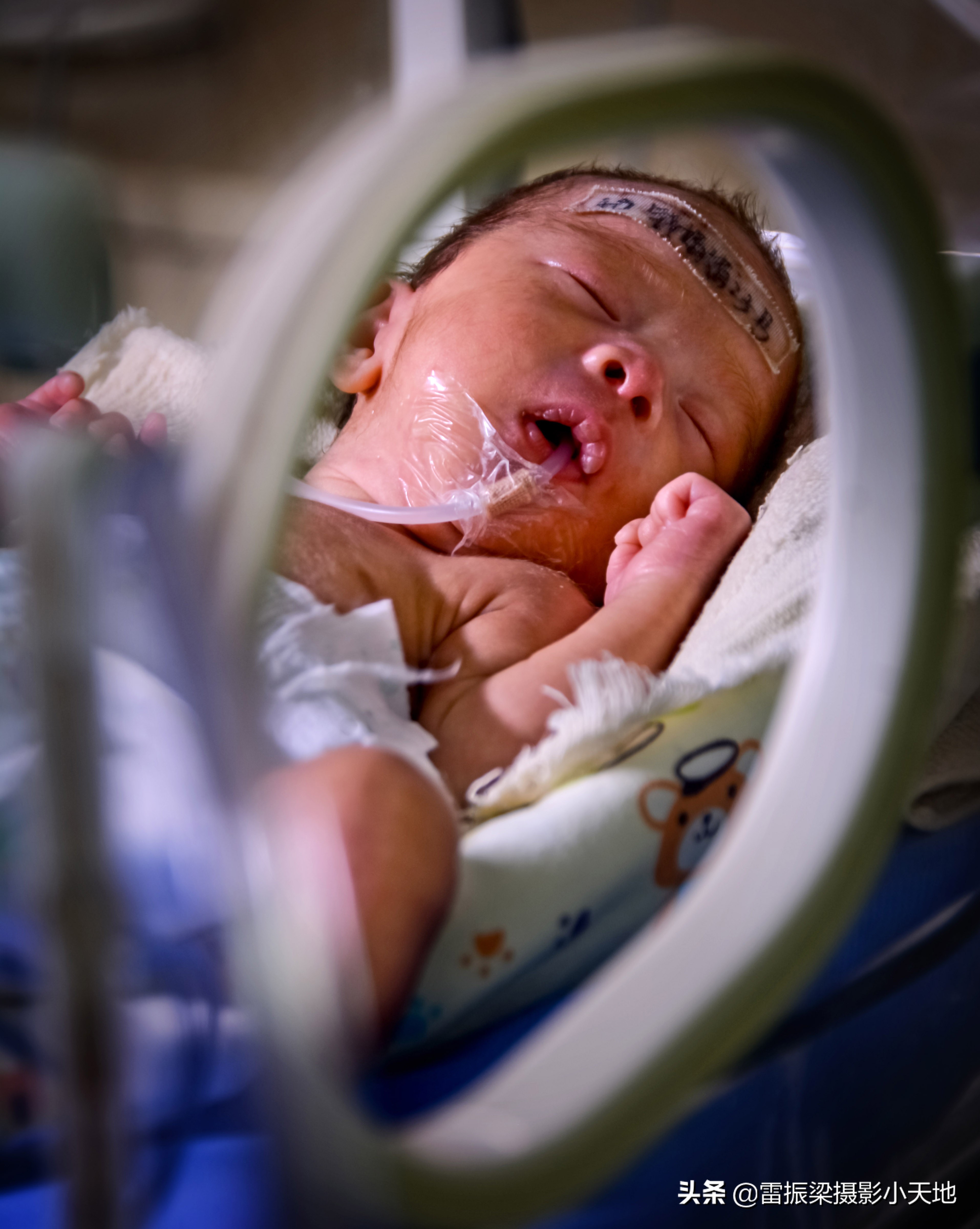 新生儿的温馨港湾：新生婴儿的摇篮摇啊摇，新生婴儿的妈咪乐啊乐