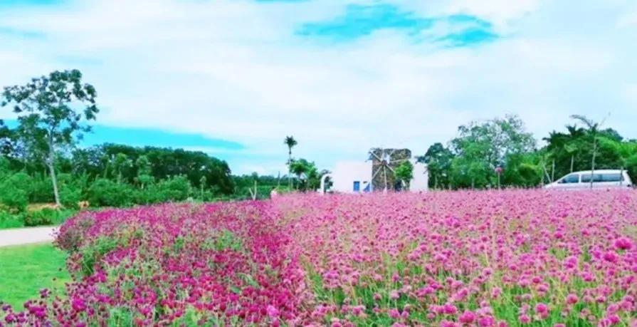 30亩庄园怎么赚钱,30亩农庄营业收入一般有多少