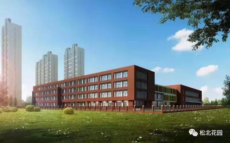 新区好学校,新区好的小学