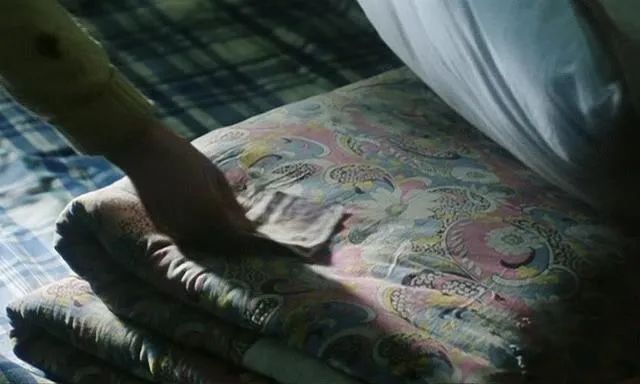 可惜没在中国上映的电影,李冰冰05年电影