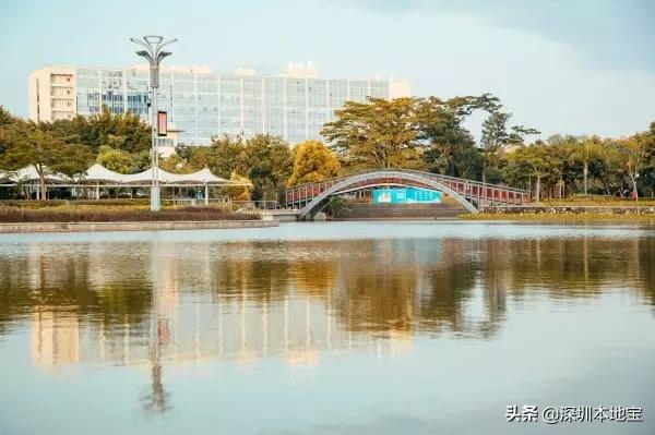 深圳完全免费的十大景点,深圳10大免费景点上集