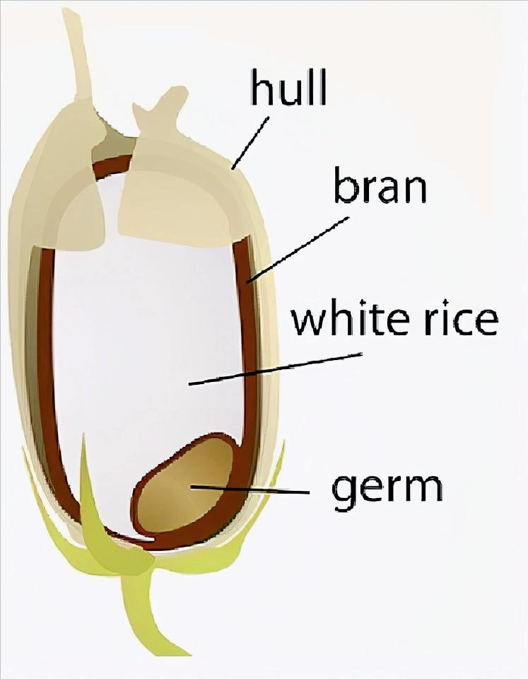 稻米油健康吗?什么是稻米油?稻米油怎么吃才合适