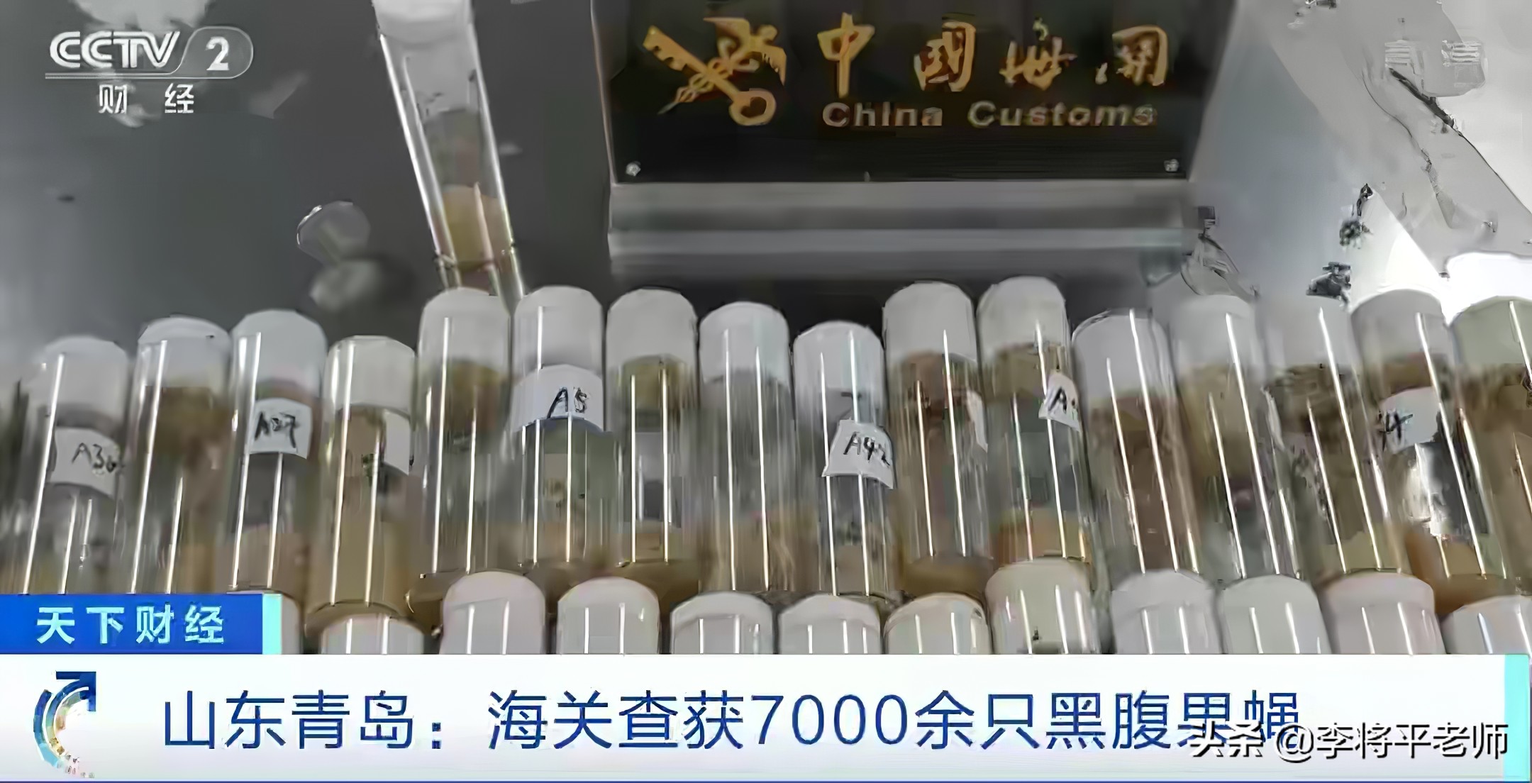 海关如何知道你带了活物入境？细数中国入侵生物中的英雄和耻辱们