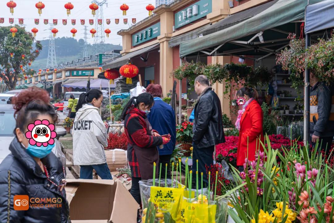 重庆花市排名前十名,重庆花市哪里最便宜
