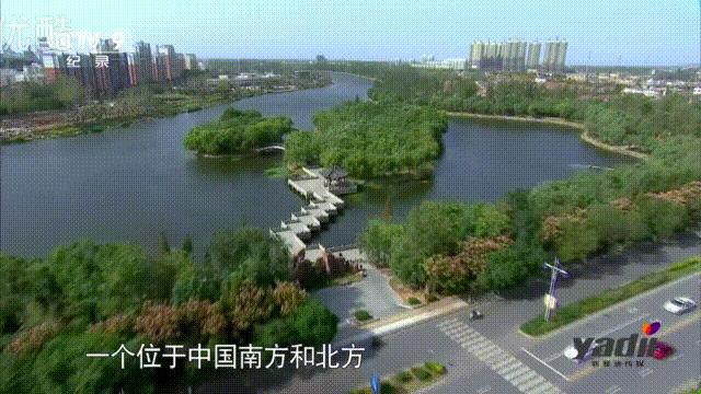 城市风景舌尖上的美食,吃货美食记忆