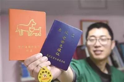 犬只伤人案例,犬只伤人致死事件