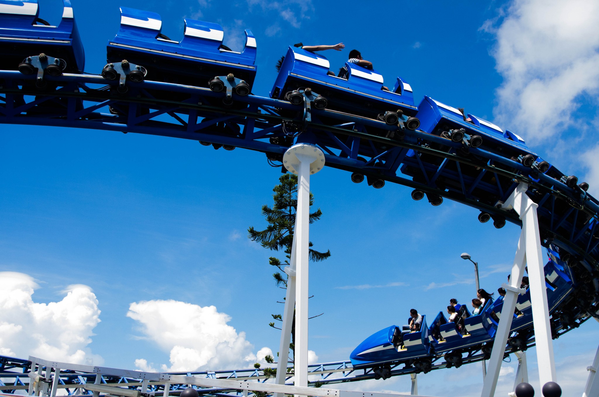 香港海洋公园现在盈利吗,香港海洋公园现在情况