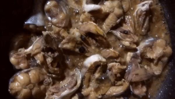 身上有好多刺的海鱼有毒的,背上有毒刺的鱼