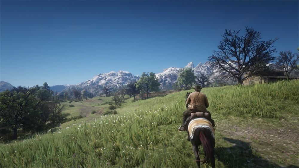 荒野大镖客救赎2pc优化怎么样,荒野大镖客救赎2pc