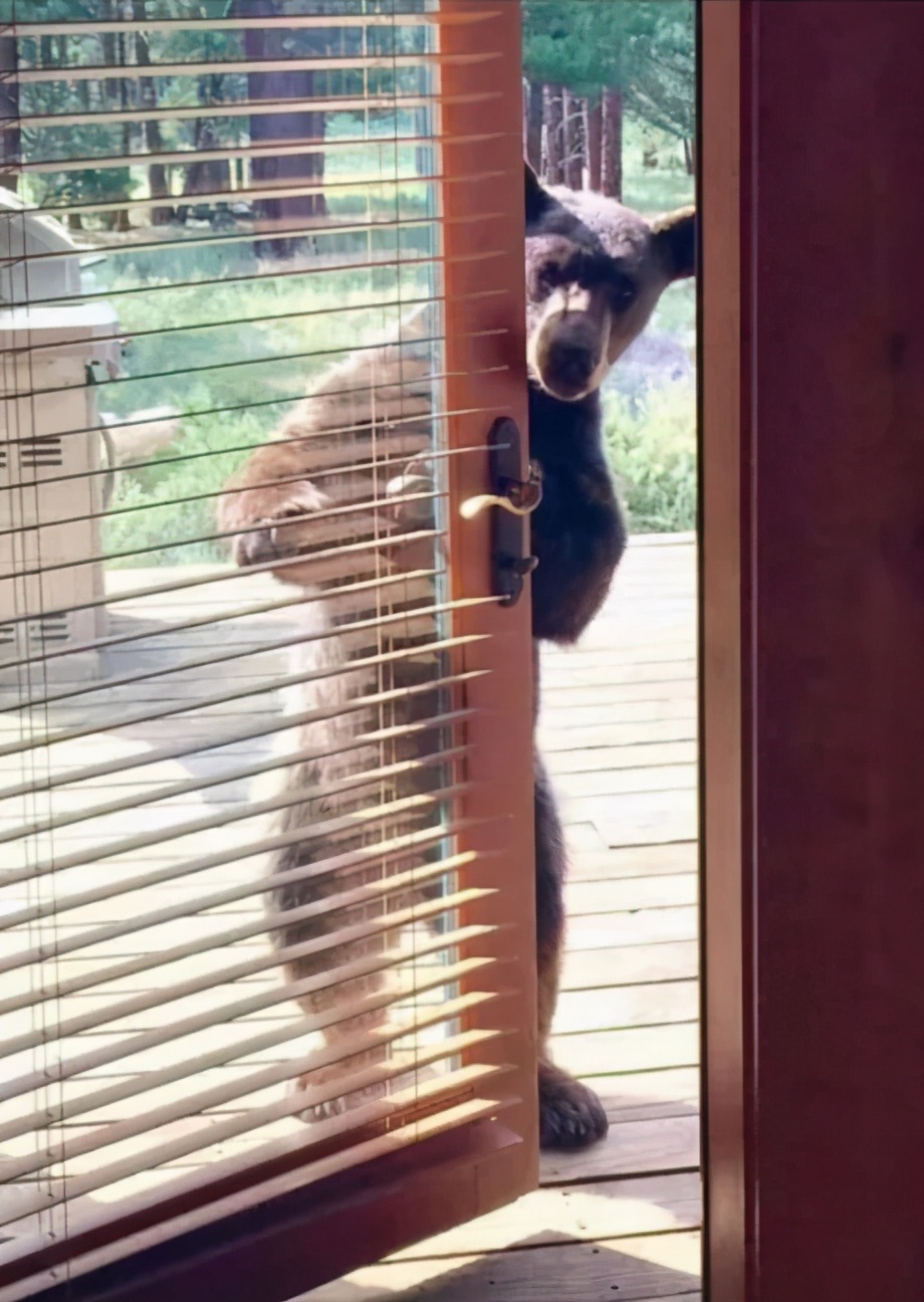 穿恨天高坐地铁的社死现场,两位男士都不忍看这次“崴脚表演”
